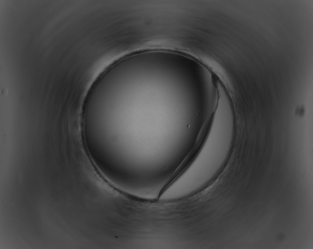 X0000091471288200708301845