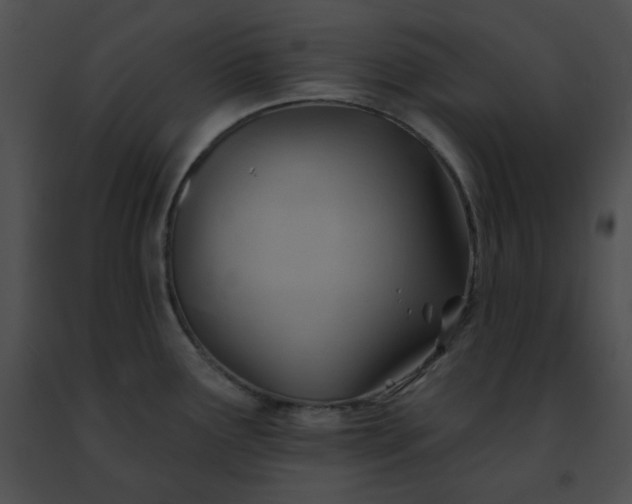 X0000091471291200708301845