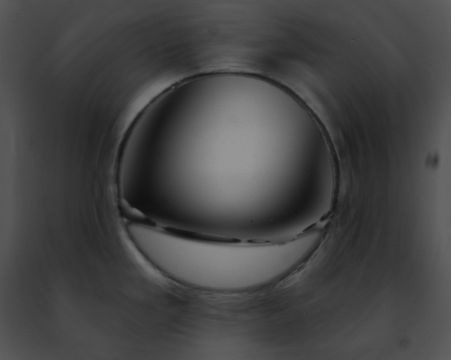 X0000091471293200708301845