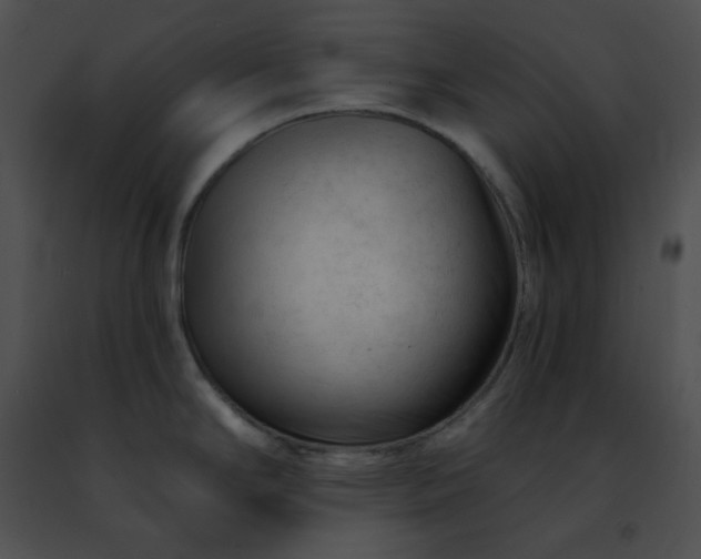 X0000091471294200708301845