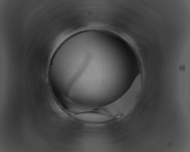 X0000091471296200708301845