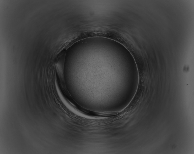 X0000091471298200708301844