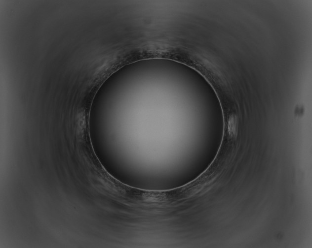 X0000091471299200708301844