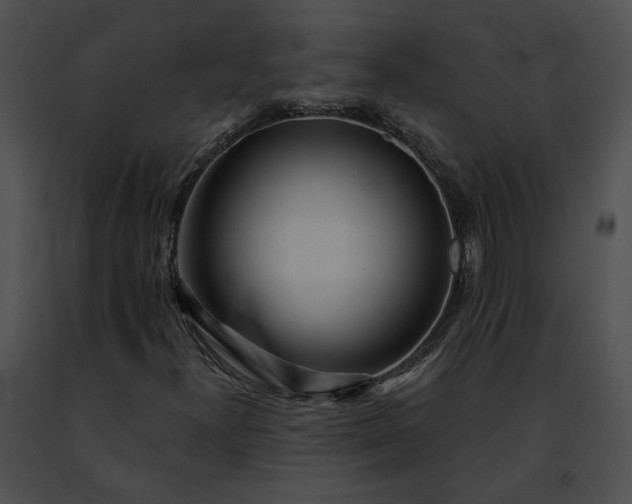 X0000091471300200708301844