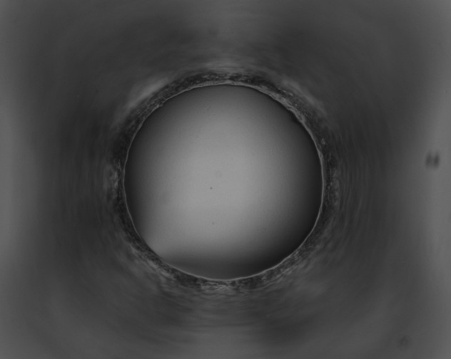 X0000091471302200708301845