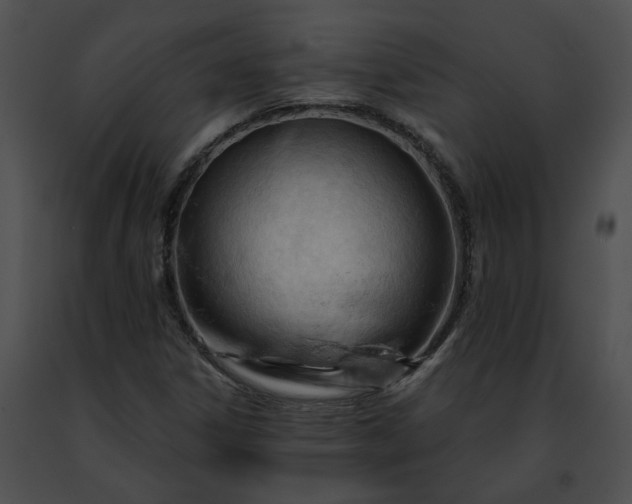 X0000091471306200708301845