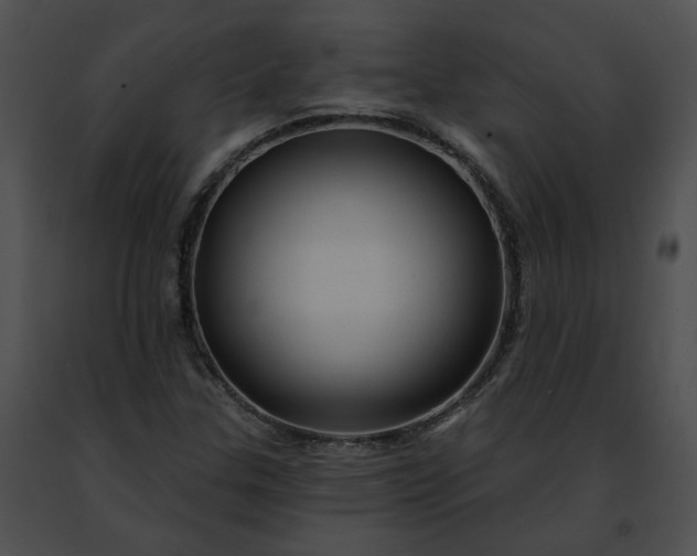 X0000091471307200708301845