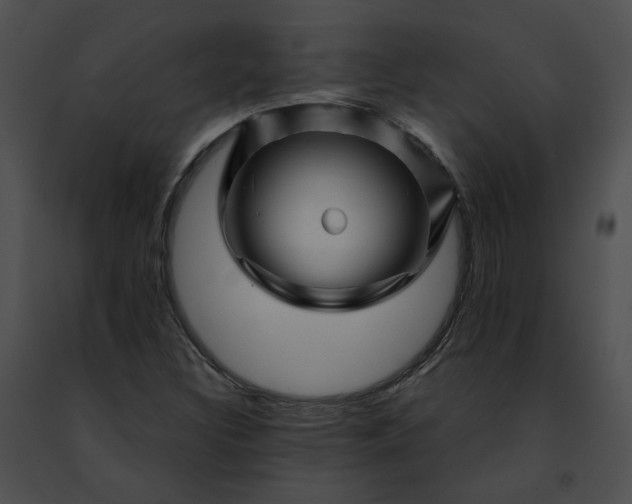 X0000091471308200708301845