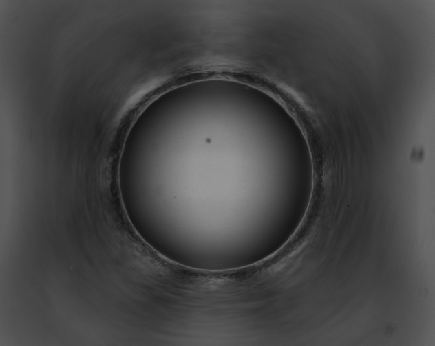 X0000091471309200708301845