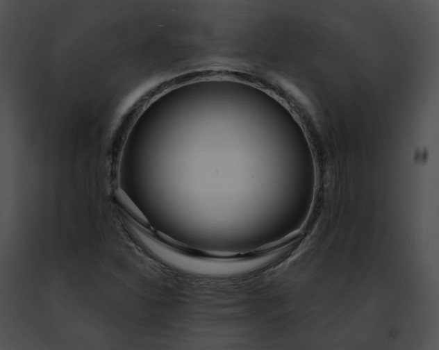 X0000091471310200708301845