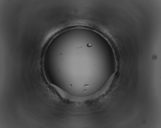 X0000091471312200708301845