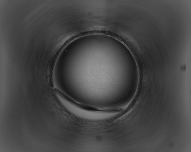 X0000091471313200708301845