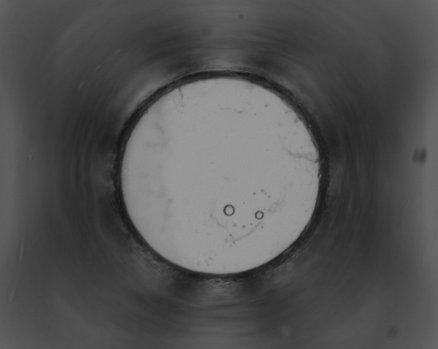 X0000091471314200708301845