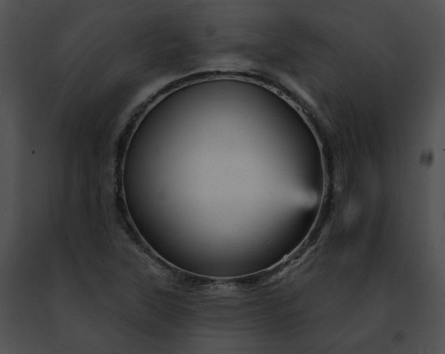 X0000091471315200708301845