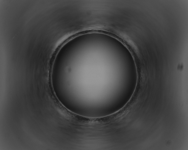 X0000091471316200708301845