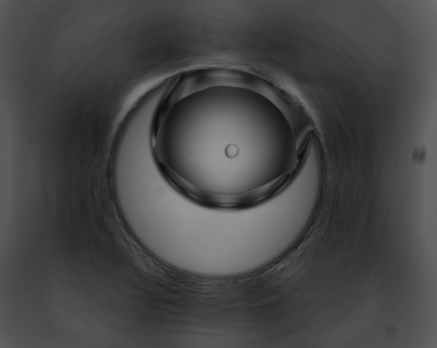 X0000091471320200708301845