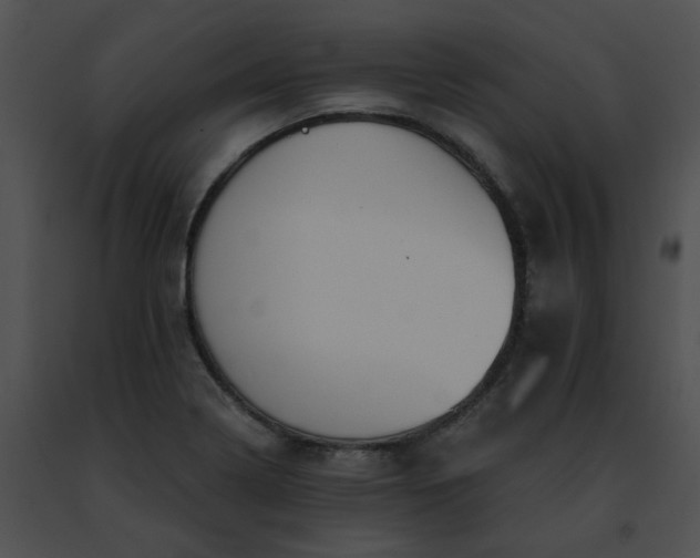 X0000091471322200708301845