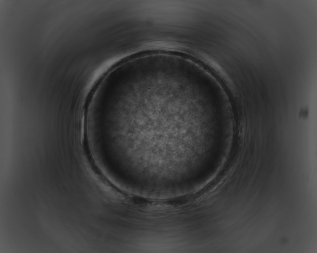 X0000091471323200708301845