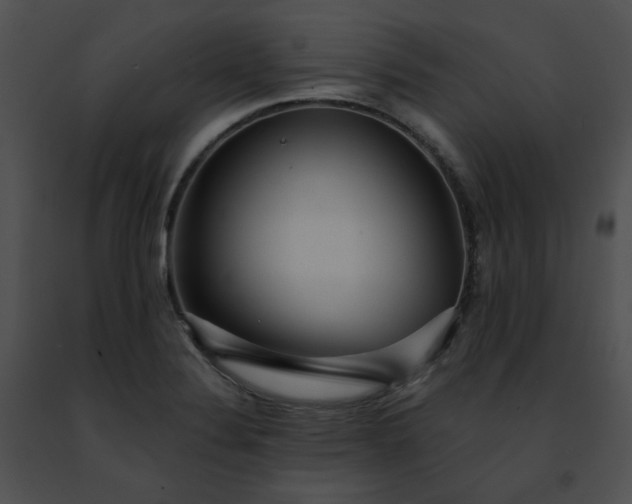 X0000091471324200708301845