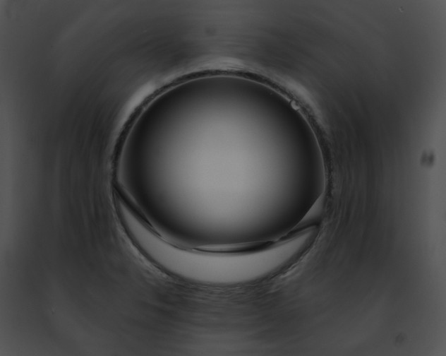 X0000091471326200708301845