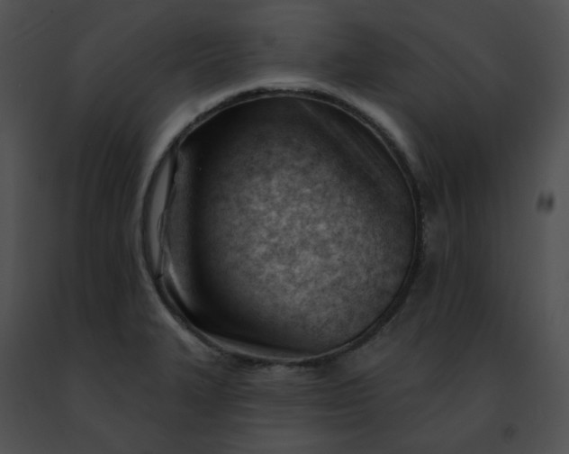 X0000091471327200708301845