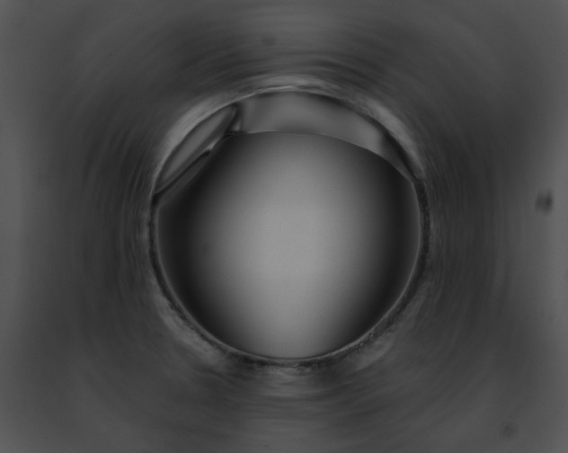 X0000091471330200708301845