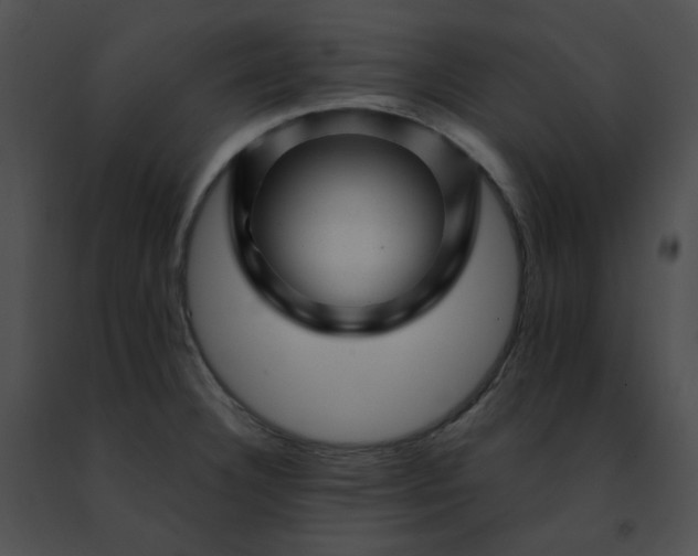 X0000091471332200708301845