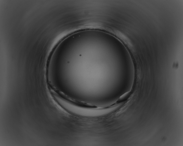 X0000091471334200708301845