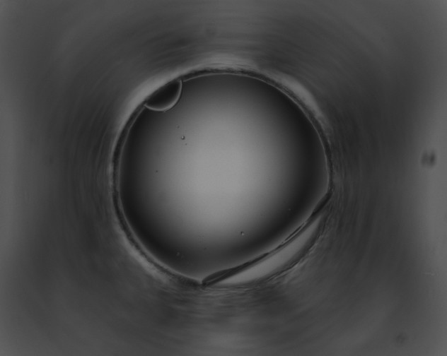 X0000091471335200708301845