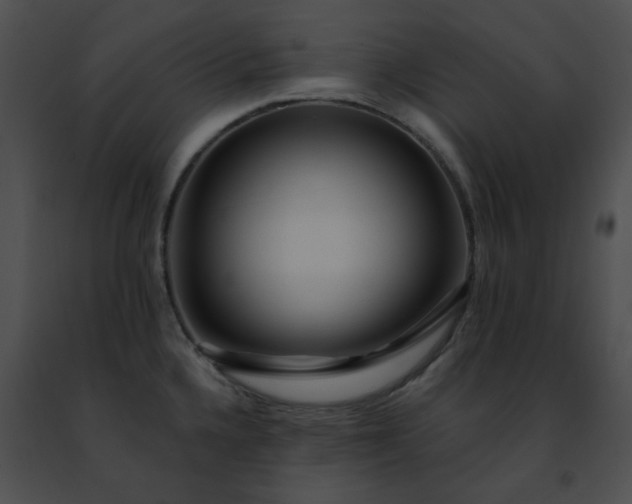 X0000091471336200708301845