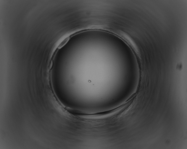 X0000091471340200708301845