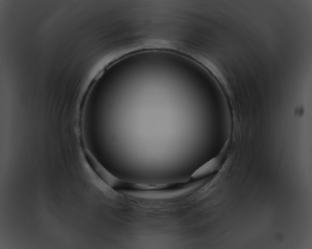 X0000091471342200708301845