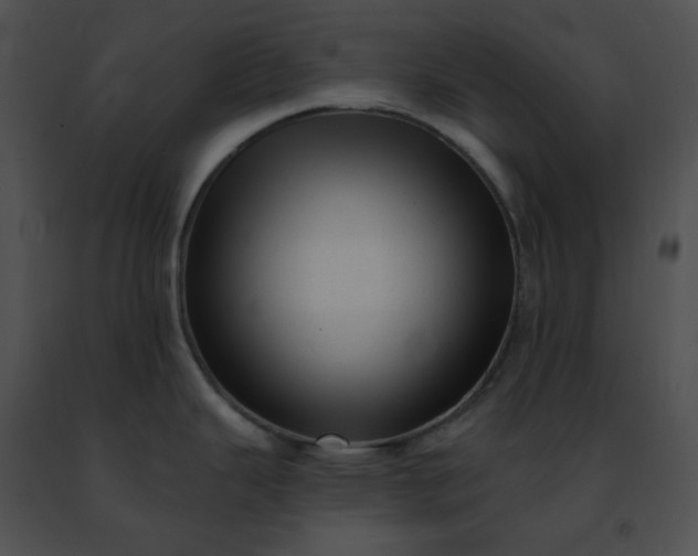 X0000091471343200708301845