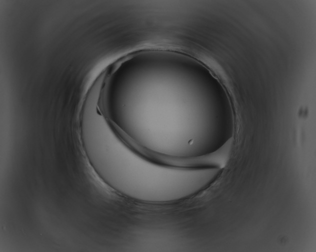 X0000091471344200708301845