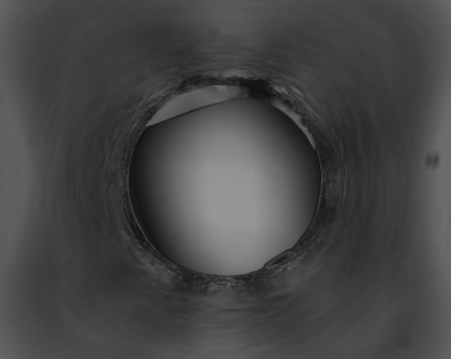 X0000091471345200708301844