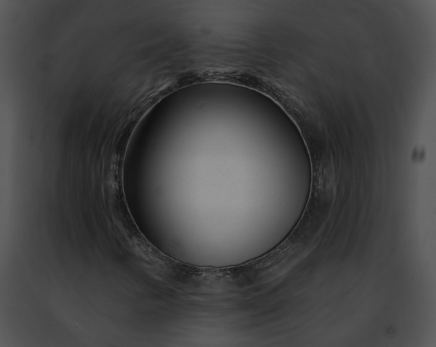 X0000091471346200708301844