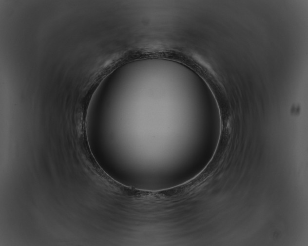 X0000091471348200708301844