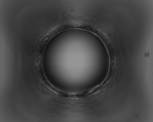 X0000091471349200708301844