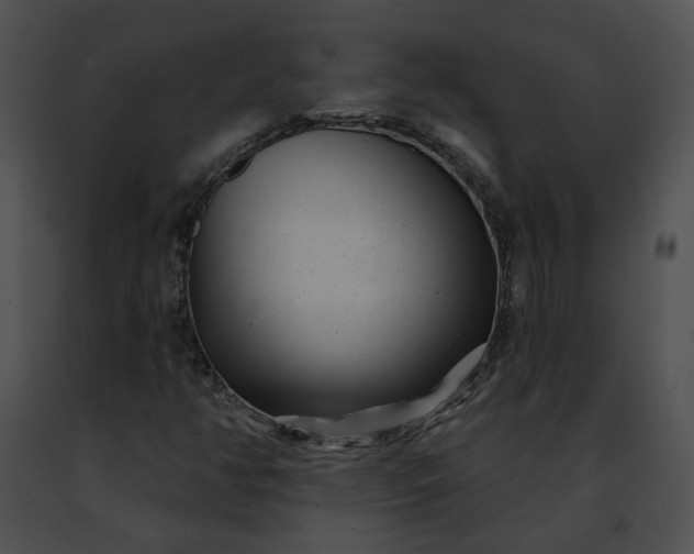 X0000091471350200708301844