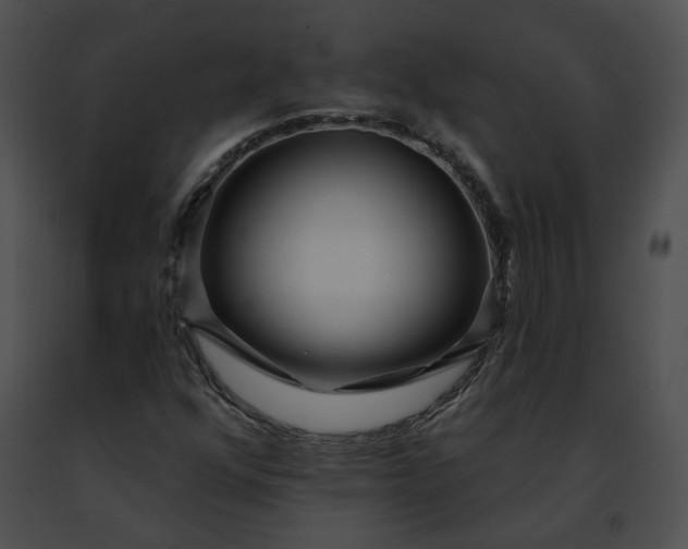 X0000091471352200708301844