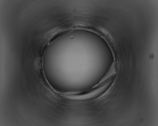 X0000091471353200708301844