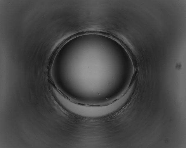 X0000091471356200708301844