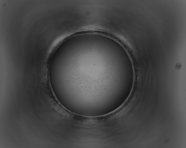 X0000091471358200708301844