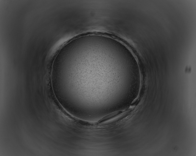 X0000091471359200708301844