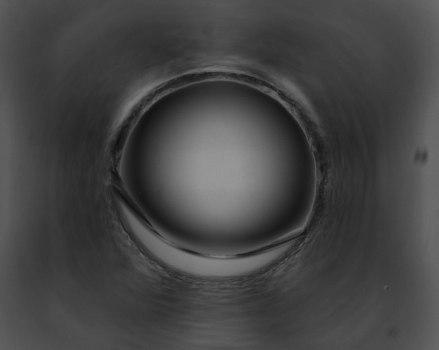 X0000091471360200708301844