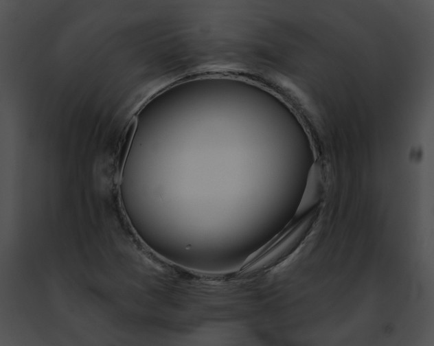 X0000091471361200708301844