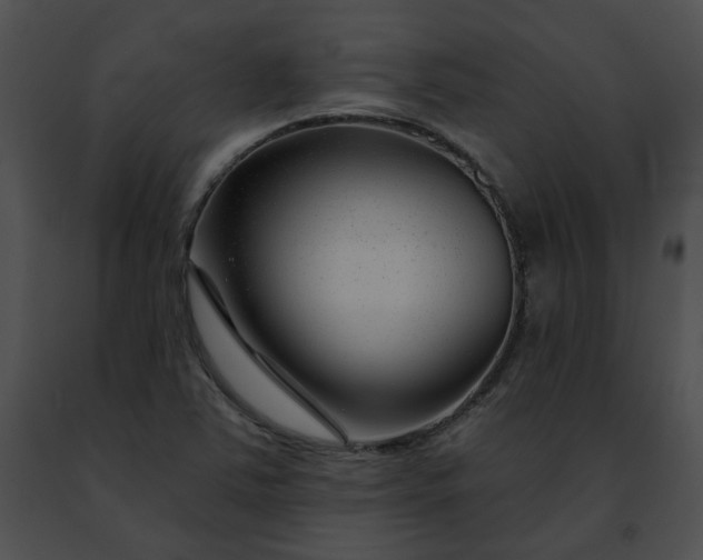 X0000091471363200708301844