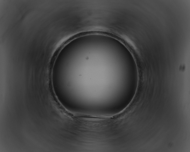 X0000091471364200708301844