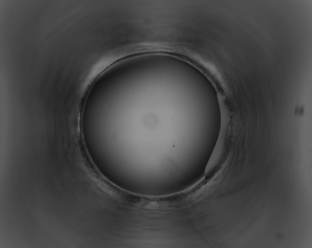 X0000091471365200708301844