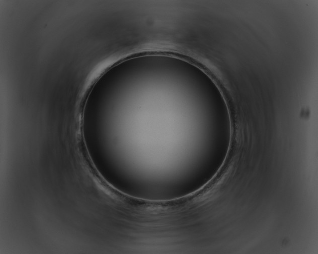 X0000091471366200708301844